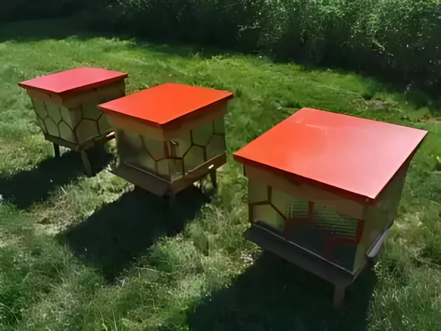 Biała Podlaska: Miejska pasieka z recyklingu w Małpim Gaju
